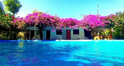 Queen Room with Pool View — OASIS Phuket Airport